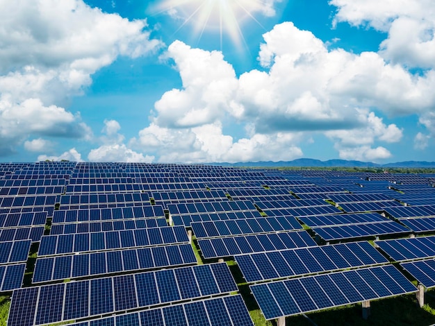 Top view of solar panels solar cell in the solar farm with green tree and sun lighting reflect Photovoltaic plant field Solar panels in aerial view Solar photovoltaic modules under clear sky