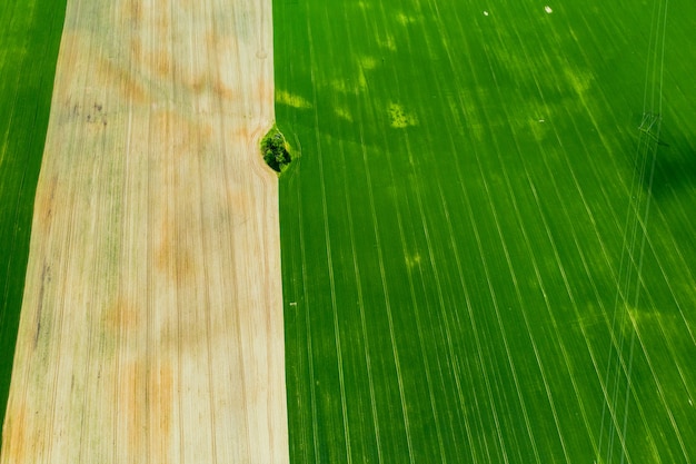 Top view of a Sown green and gray field  