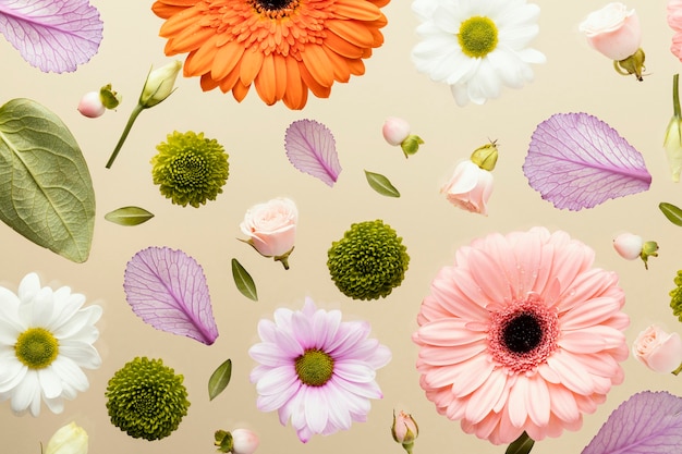 Photo top view of spring gerbera flowers with daisies and leaves