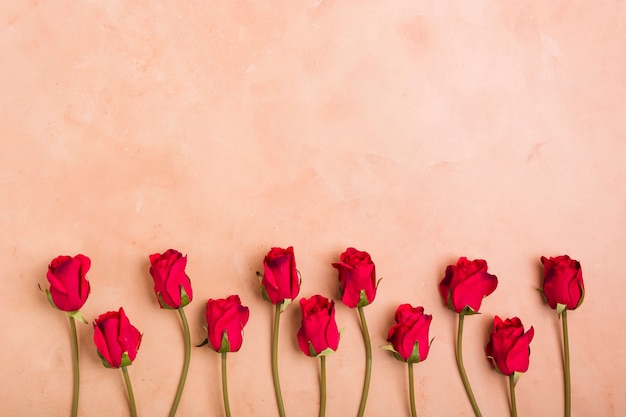 Top view of spring roses with copy space