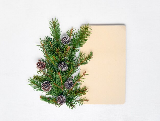 Top view of spruce branches and cones with paper