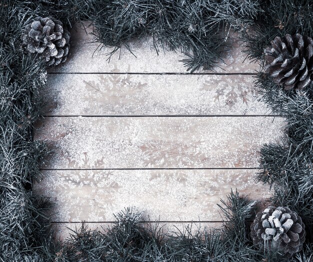 Top view of spruce branches with pine cones