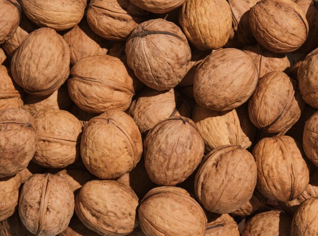 Top view of strong brown walnuts Autumn harvest and proper nutrition