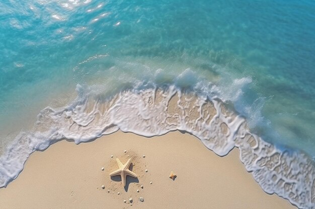 青い海水と海星を背景にした夏のビーチ休暇のトップビュー