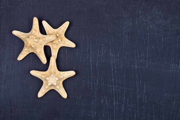 Top view of three starfish on black background.