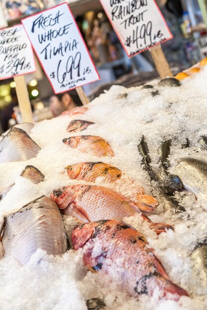 Foto vista dall'alto del pesce tilapia su ghiaccio in vendita in un mercato di frutti di mare