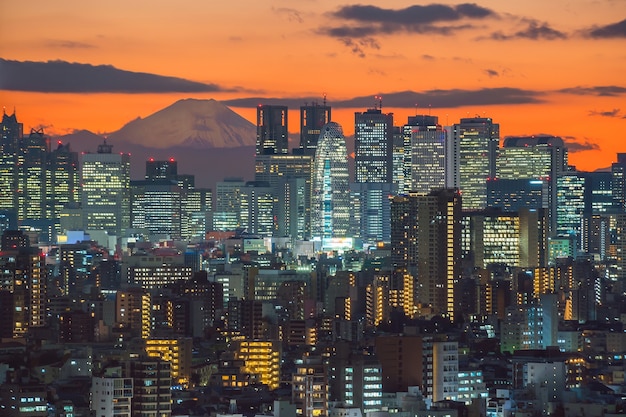 東京の街並み（新宿エリア）と日本の夕日が美しい富士山の平面図。