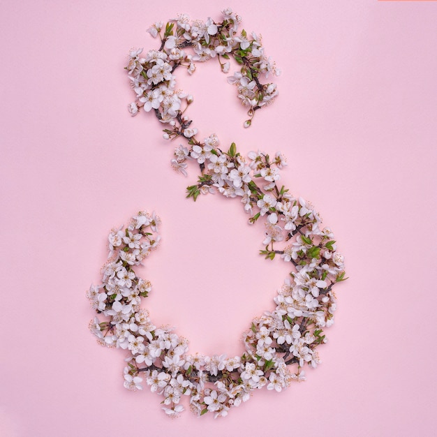 Top view of tree branches with blooming spring flowers on pink background