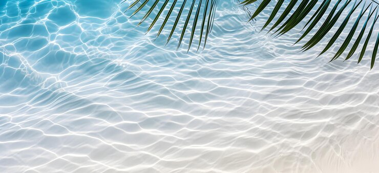 Photo top view of a tropical leaf shadow on the surface of the water