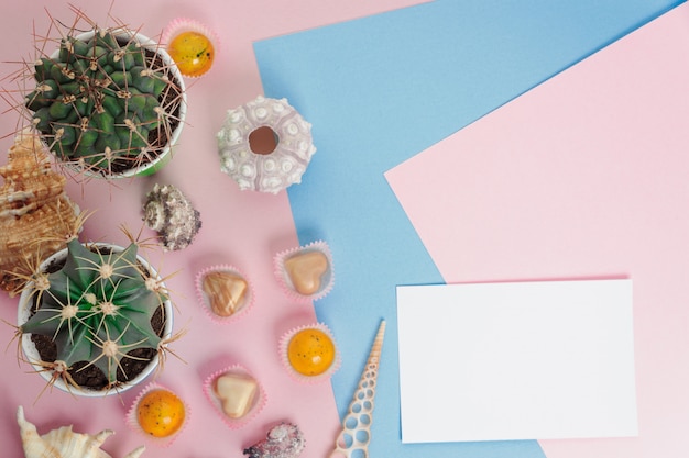 Top view two small green cactus, photo paper, sweets and seashells on pink and blue background with copy space.