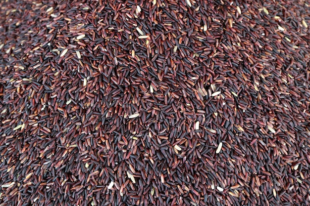 Vista dall'alto di grani di riso-bacca di riso a bacca di colore rosso scuro per sfondo