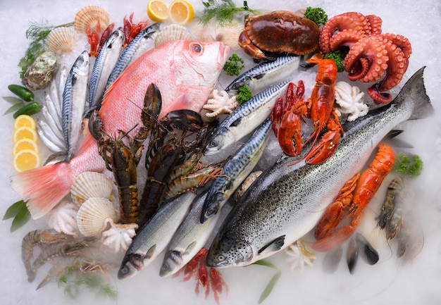 Вид сверху разнообразной свежей рыбы и морепродуктов на льду