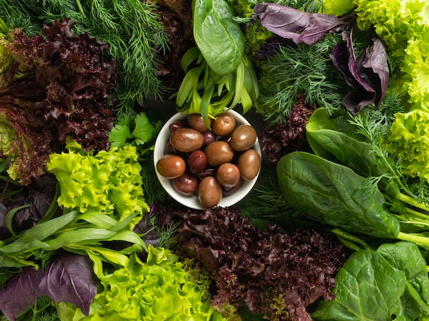 Top view - various edible fresh herbs, greens of green and purple are laid out in a circle, in the center are green olives