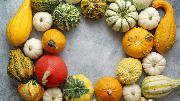 Top view of various kinds cute mini pumpkins placed in circle with copy space in the middle On stone background Flat lay