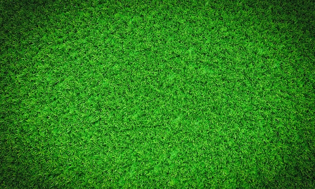 Top view Vers groen gazon Voor voetbal- en voetbalvelden of golfbanen Voor het maken van achtergrond- of behangtuin Vers groen gras voor een speeltuin 3D-rendering