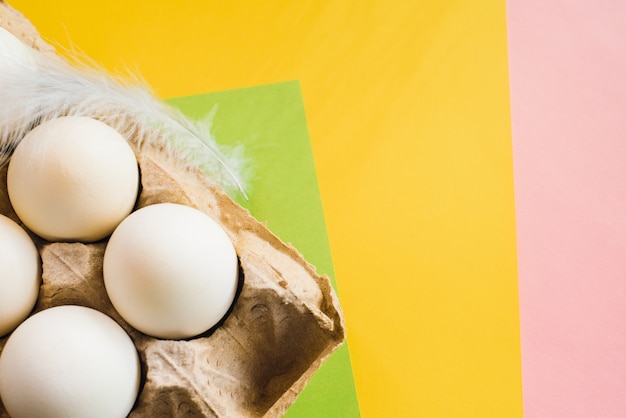 Top view of white chicken eggs with feather in an open egg carton on colorful background. Copy space. Natural healthy food and organic farming concept. Eggs in Package