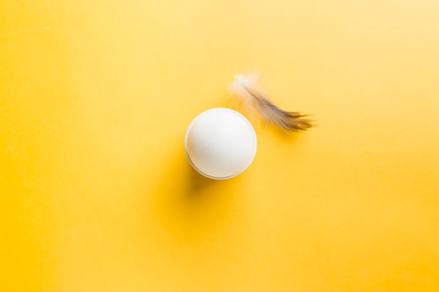 Photo top view of white egg and feather