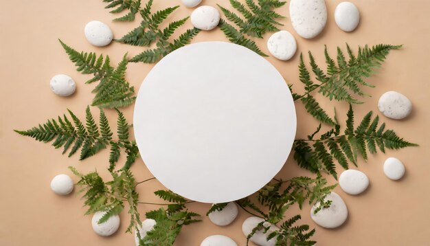 Top view of white empty circle surrounded by branches of fern and white stones on beige background