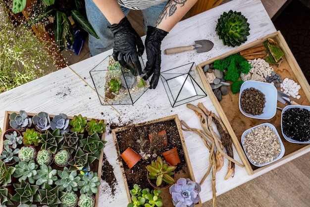 Foto vista dall'alto donna giardiniere mani in guanti protettivi disposizione piante grasse in florari di vetro