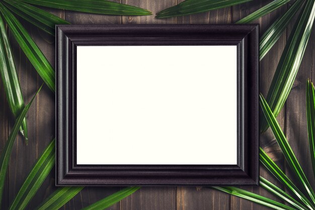 Top view wood frame and green leaf palm topical on wood background.