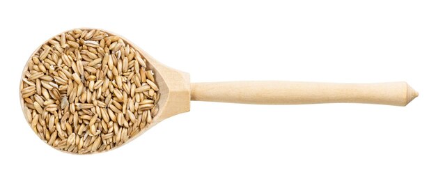 Photo top view of wood spoon with unpolished oat grains