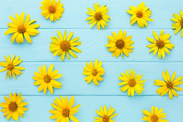 Photo top view yellow daisies