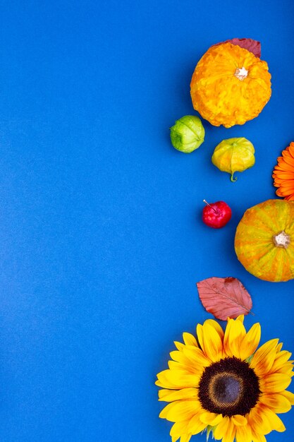 Top view of yellow and orange flowers and pumpkins on blue background with copy space. Blank greeting card for creative work design. flat lay