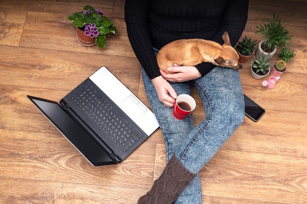 Top view of a young woman with a computer on her lap with small dog