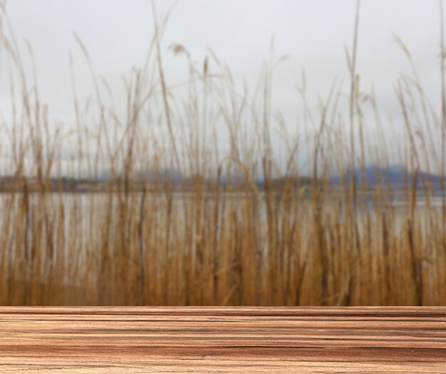 top of wooden plank on grass brown with the lake background