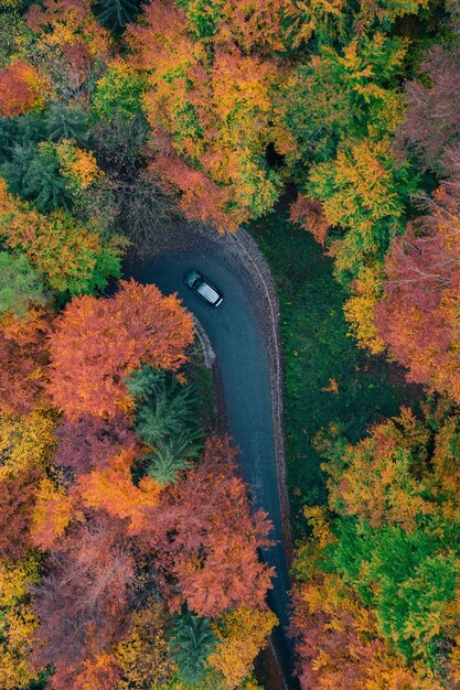 写真 オーストリアのカラフルな秋の葉っぱで森を曲がる道路の上の車の上空写真