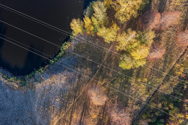 Topdown aerial view of river coast with autumn trees crossed by power line Dubna Russia