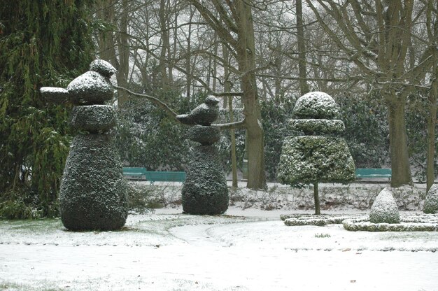 Topiary and bare trees in snowcapped park during winter