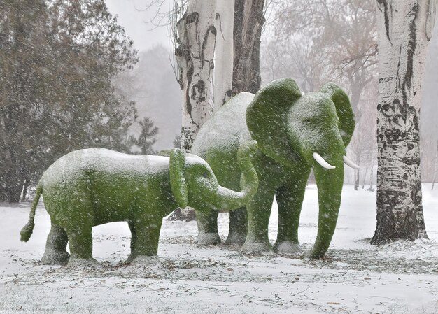 Topiary figuren van een olifant en een babyolifant genomen in de winter in een sneeuwstorm selectieve focus