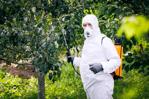 Foto il tema dell'agricoltura industriale una persona spruzza pesticidi tossici o insetticidi in una piantagione controllo delle infestanti