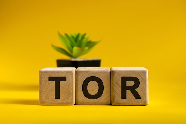 TOR text on wooden cubes on a bright surface and a black pot with a flower behind