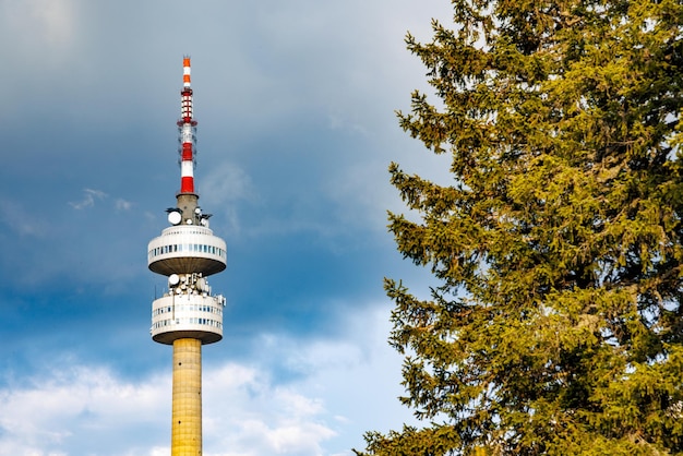 Toren Snezhana op de top van Snezhana bedekt met sparrenbossen in Rodopegebergte