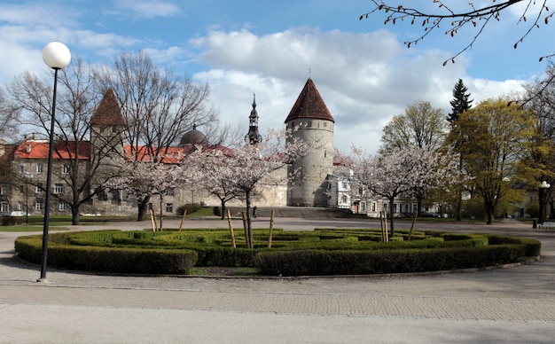 Torens van de stadsmuur in de oude stad van Tallinn in Estland in de lente. Geplaveide straatjes, gotische architectuur van de middeleeuwse charmante stad Tallinn Old Town.