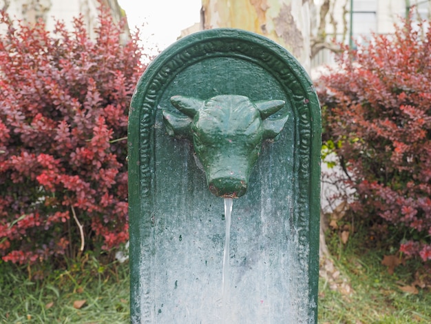 Photo toret drinking fountain in turin