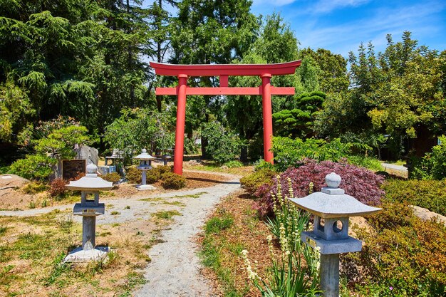 Foto torii gate nel giardino giapponese con lanterne di pietra che fiancheggiano il sentiero in una giornata di sole