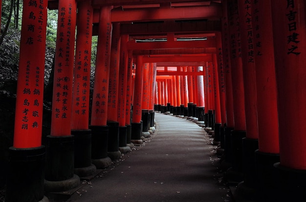 torii gate leading towards fushimi inari shrine