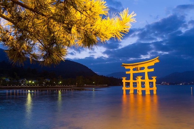 写真 広島湾の夜景に輝く厳島の鳥居