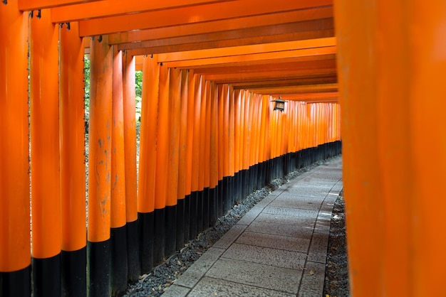 Torii-poorten bij Fushimi Inari-schrijn in Kyoto, Japan