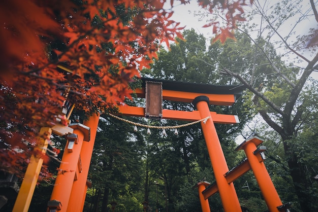 Toriipoort van Chureito-pagode in de lente op dag in Fujiyoshida