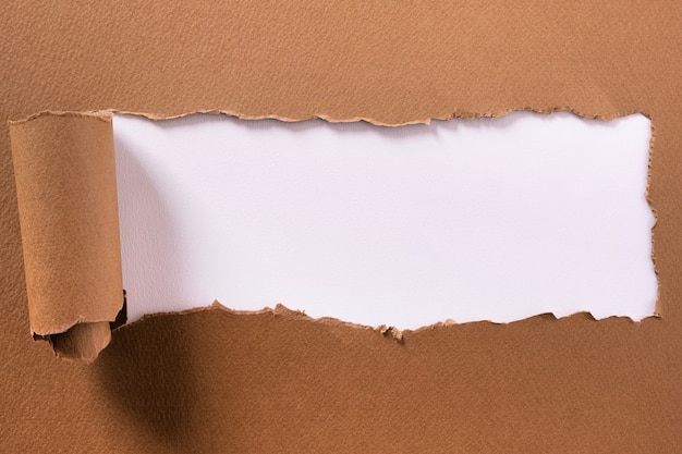 Torn brown paper center strip white background curled edge