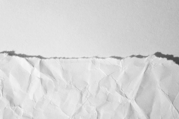 Torn crumpled sheet of paper on a white background top view\
macro photo