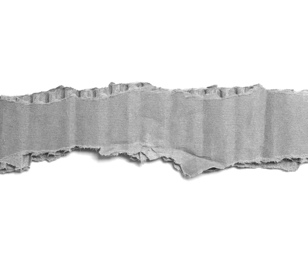 torn paper isolated on white background.