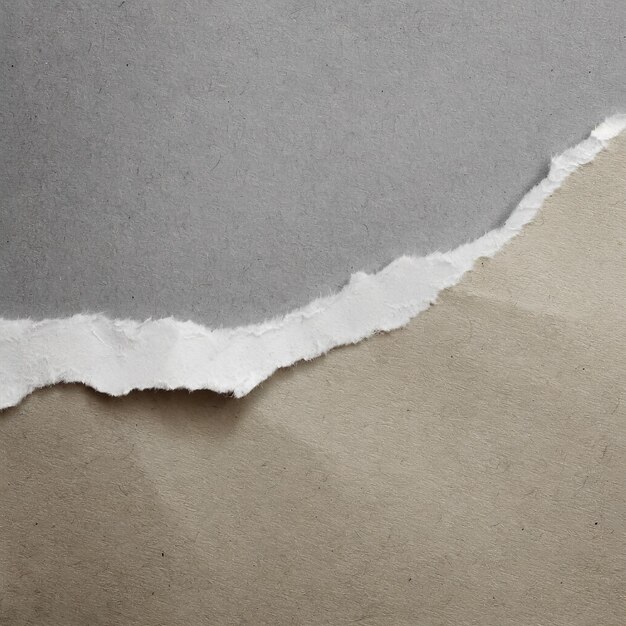 Foto testura della striscia di carta strappata