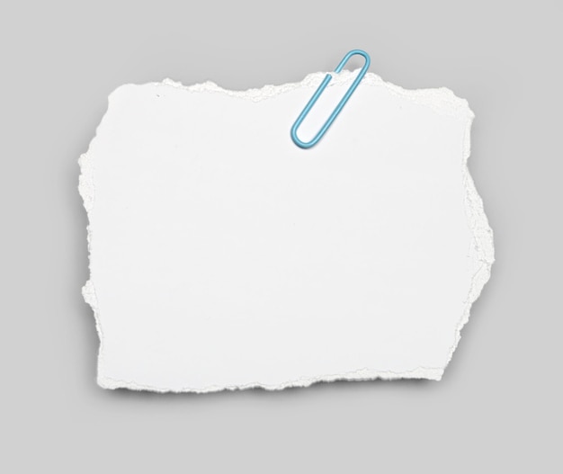 torn piece of white paper with a blue paper clip