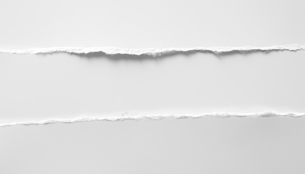 torn white paper on white background