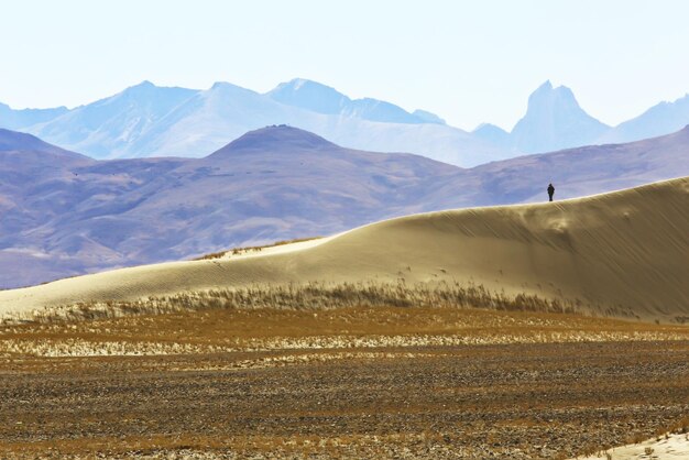 tornado in the desert landscape